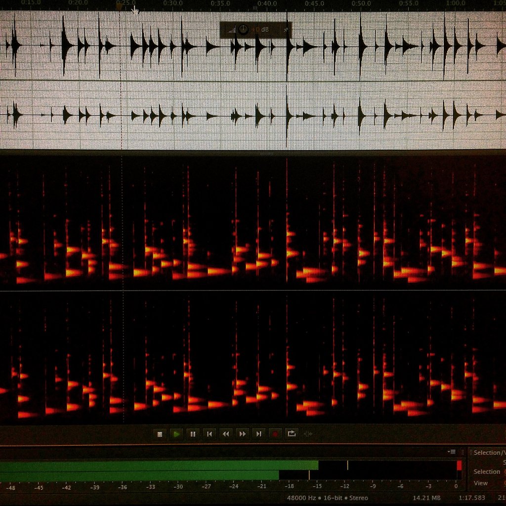 Audio Screenshot